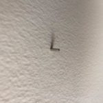 nail in wall