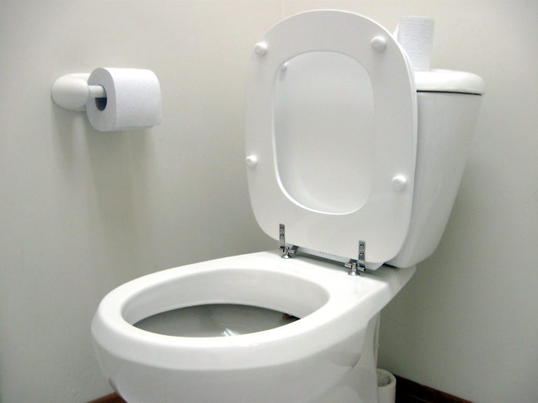 Unblock A Clogged Toilet