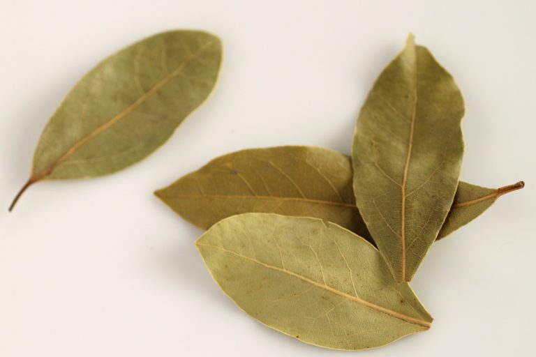 Why You Should Be Burning Bay Leaves At Home