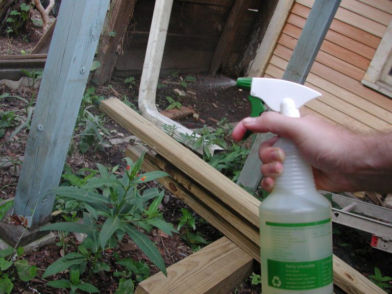 How To Make Natural Pesticides For Your Garden