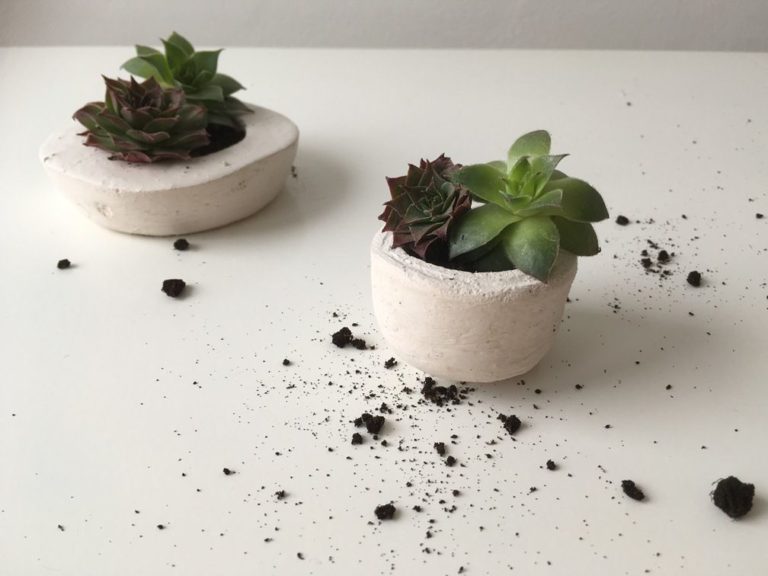 Make Your Own Concrete Planters Using Scrap Plastic Bottles