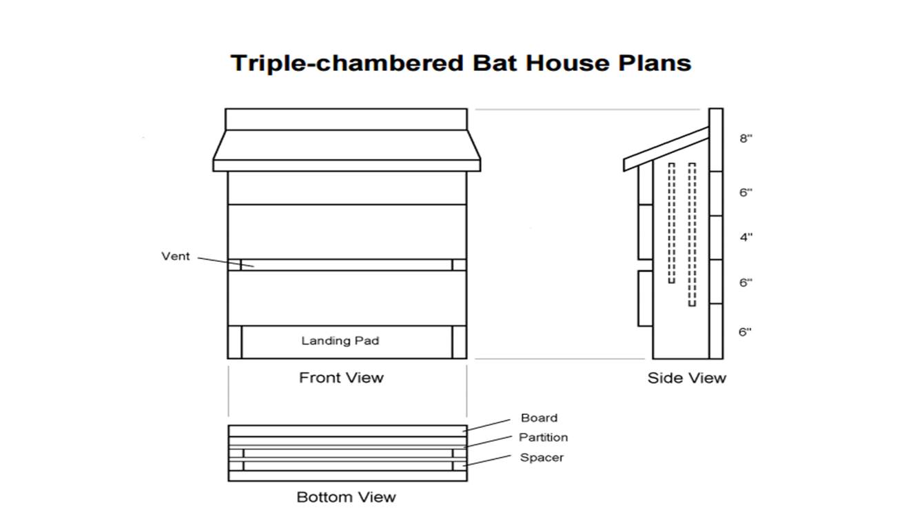 How To Make A Bat House Get Rid Of Those Bugs Insects The DIY Life