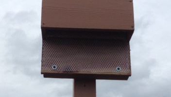 how to make your own bat box and keep insects away
