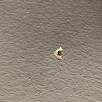 nail hole in masonry wall