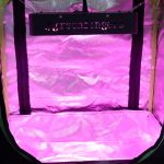 Grow Light Running