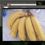 Still Sample Image Object Recognition Banana