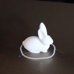 Rabbit Test Print