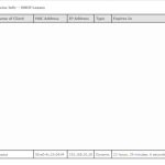 Router’s DHCP Table