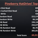 Pineberry HatDrive Summary Results