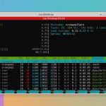 HTOP Showing Low CPU Usage After Boot