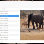 File-Manager-Photo-Preview