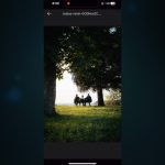 Photos Accessible Remotely