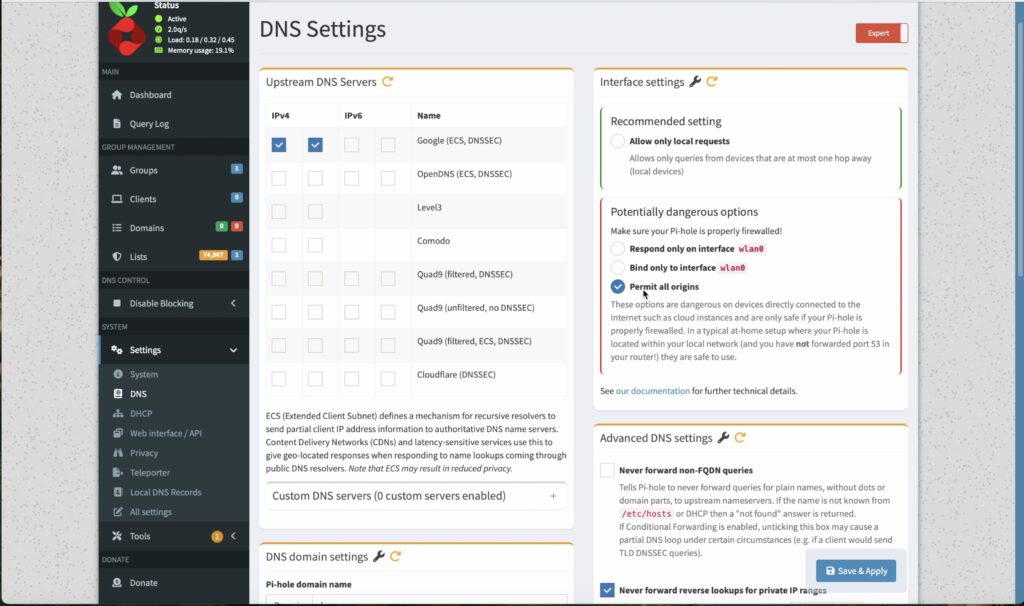 Edit DNS Settings On Pi-hole