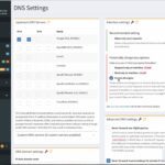 Edit DNS Settings On Pi-hole
