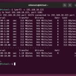 Network Speed Test Results