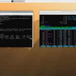 Running Online Model Through API