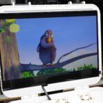 Big Buck Bunny Running