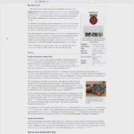 Wikipedia Opened On Pages
