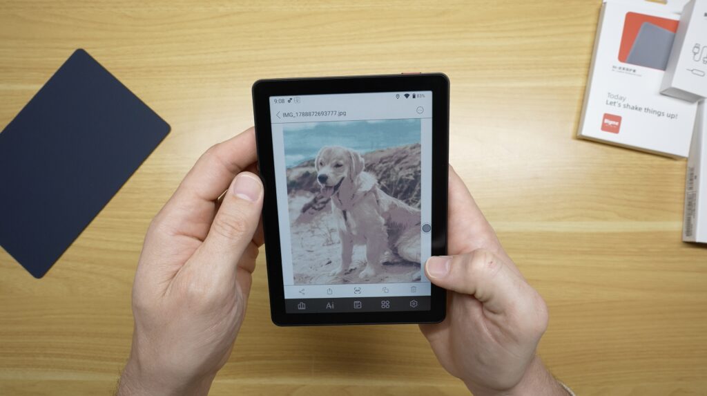 Dog Image on B6