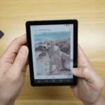 Dog Image on B6