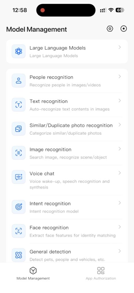 AI Model Management Options