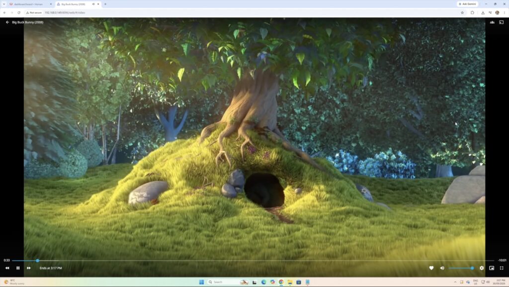Big Buck Bunny Running On Jellyfin