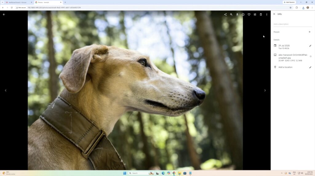 Dog Image in Immich