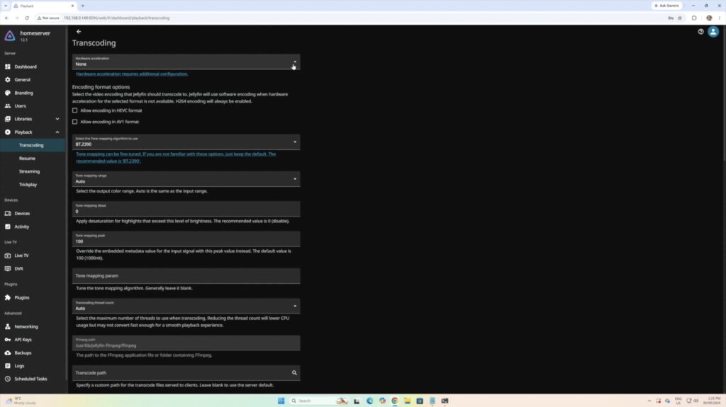 Jellyfin Transcoding